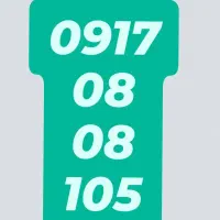 0917.08.08.105