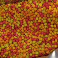 سرلاک آرد سوخاری پلت میوه|لوازم جانبی حیوانات|قم, باسکول|دیوار