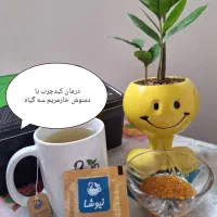 پاکسازی کبد و گوارش و ریه ها|آرایشی، بهداشتی، درمانی|تربت‌حیدریه, قائم|دیوار