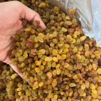 کشمش اصل تاکستان