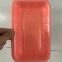 ظرف دیس فوم|ظروف نگهدارنده، پلاستیکی، یک‌بارمصرف|آق قلا, |دیوار