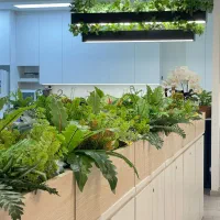 پاپیتال مصنوعی/اجرا گل وگیاه مصنوعی داخل فلاورباکس