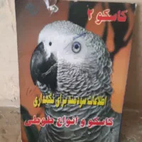 کتاب مذهبی و کتاب پرنده|کتاب و مجله مذهبی|کرمانشاه, |دیوار