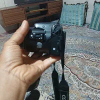 دوربین|دوربین عکاسی و فیلم‌برداری|بندرعباس, |دیوار