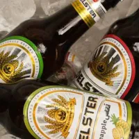 کارگرساده/حراست کارخانه دلستر بیمه،جایخواب،غذا|استخدام صنعتی، فنی، مهندسی|تهران, چیتگر جنوبی|دیوار