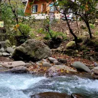 کلبه چوبی امیر دربست