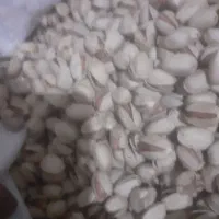 پسته خندان کله قوچی|خوردنی و آشامیدنی|نوده انقلاب, |دیوار