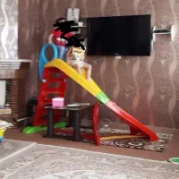 سر سره