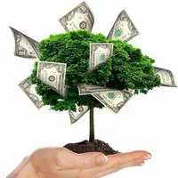 جذب سرمایه برای تولید ، سرمایه گذاری مطمئن