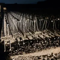 تیرچه و بلوک|مصالح و تجهیزات ساختمان|قلعه نو, |دیوار