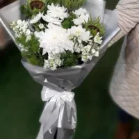 پخش عمده داوودی و رز هلندی و آلستر|گل و گیاه طبیعی|مشهد, نیروی هوایی|دیوار