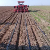 فروش گندمکار مکانیزه