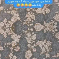 انواع پاک کننده و شوینده نانو|مواد شوینده و دستمال کاغذی|دورود, |دیوار