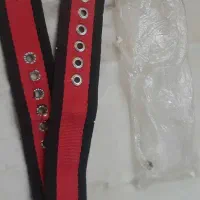 باکس سگ|لوازم جانبی حیوانات|تهران, شهرک ابوذر|دیوار