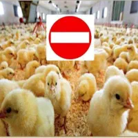 استخدام کارگر