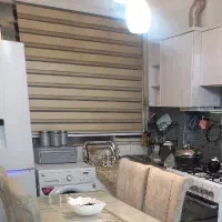 پرده زبرا نو