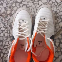 کفش ورزشی،چمن|کیف، کفش، کمربند|لنگرود, |دیوار