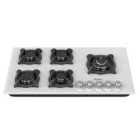 اجاق گاز صفحه ای ایتالیایی داتیس/Datees