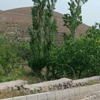 فروش زمین 307 متری با سند تک برگ و انشعابات کامل|فروش زمین و ملک کلنگی|لواسان, |دیوار