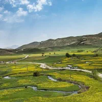 همفکری