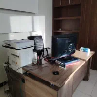 منشی خانم