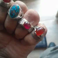 سه عددسره قناری