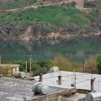 فروش-باغ