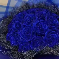 گل روبانی  امریکایی|گل مصنوعی|زنجان, |دیوار