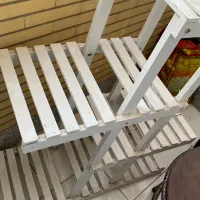 استند چوبی گل|گل و گیاه طبیعی|سهند, |دیوار