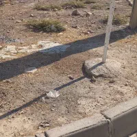 زمین مسکونی