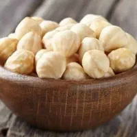 پیشفروش نهال فندق بارسلونا|خدمات باغبانی و درختکاری|اشتهارد, |دیوار