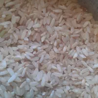 برنج روستای کره