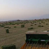 یونجه|خدمات باغبانی و درختکاری|حاجی آباد, |دیوار