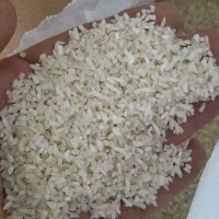 برنج عنبربودرجه عطری طارم استخونی سیدوهاشمی|خوردنی و آشامیدنی|رباطکریم, رباطکریم|دیوار