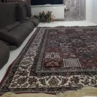 فروش فرش 6 متری هیوا کاشان نو نو بسیار زیبا