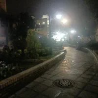 فروش سه هکتار زمین پسته اکبری درجه یک درخت جوان