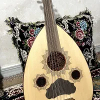 عود سالم سلام بدون شکستگی چیزی