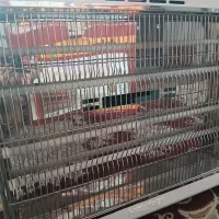 بخاری برقی بزرگ