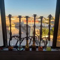 6عدد قلیان دوسیب