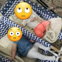 گهواره ورورویک