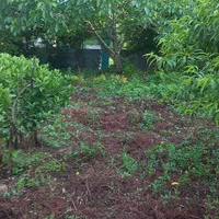 ۲۰۰ متر زمین مسکونی|فروش زمین و ملک کلنگی|بابکان, |دیوار