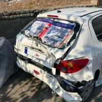 ۲۰۶ تیپ ۲ تصادفی