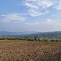 زمین ۱۰۰۰متری دوتا پلاک ویو ۳۶۰درجه