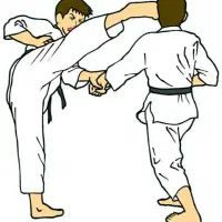 آموزش هنر رزمی کاراته