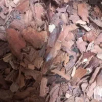 پودر جفت بلوط