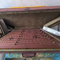 سنتور حرفه ای رز پادوک استاد موسوی