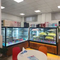 یخچال ویترینی ،شو‌ کیک ،صنعتی 2عدد|فروشگاه و مغازه|کتالم و سادات شهر, |دیوار