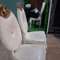 صندلی مجلسی تالاری