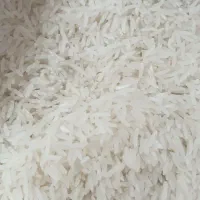 برنج‌فجر‌سوزنی‌قلم‌ریز|خوردنی و آشامیدنی|خان ببین, |دیوار