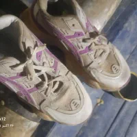 کفش|کیف، کفش، کمربند|رشت, عینک|دیوار